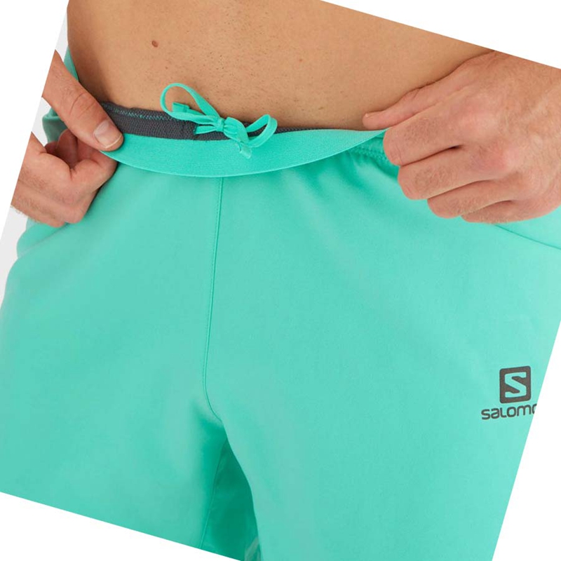 Salomon CROSS 5'' Kurze Hose Herren Mintfarben | LSDVJQR-39