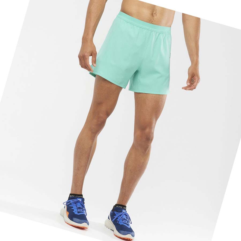 Salomon CROSS 5'' Kurze Hose Herren Mintfarben | LSDVJQR-39