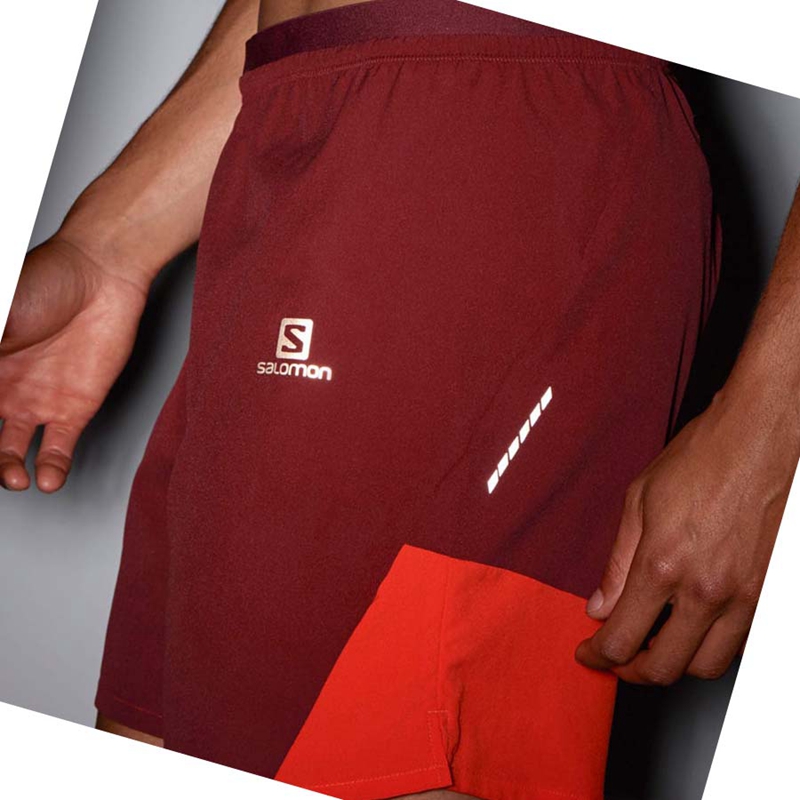 Salomon CROSS 7'' NO LINER Kurze Hose Herren Rot | BPXDMNA-18