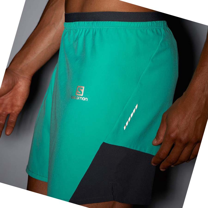 Salomon CROSS 7'' NO LINER Kurze Hose Herren Mintfarben | IOTHXDK-70
