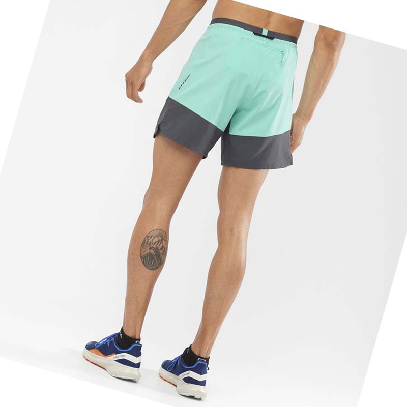 Salomon CROSS 7'' NO LINER Kurze Hose Herren Mintfarben | IOTHXDK-70