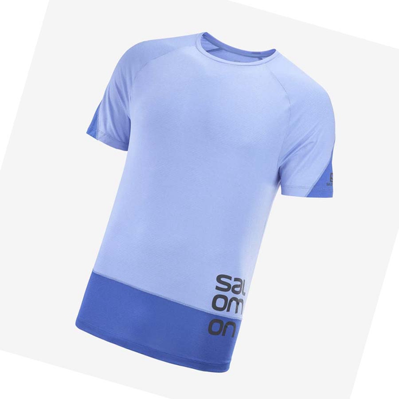 Salomon CROSS RUN GRAPHIC T-shirts Herren Blau | XJUTVIF-63