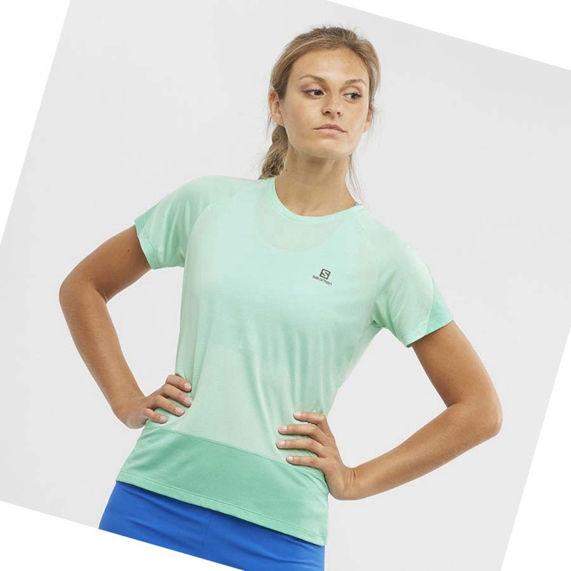 Salomon CROSS RUN T-shirts Damen Grün | QPRAHIB-20