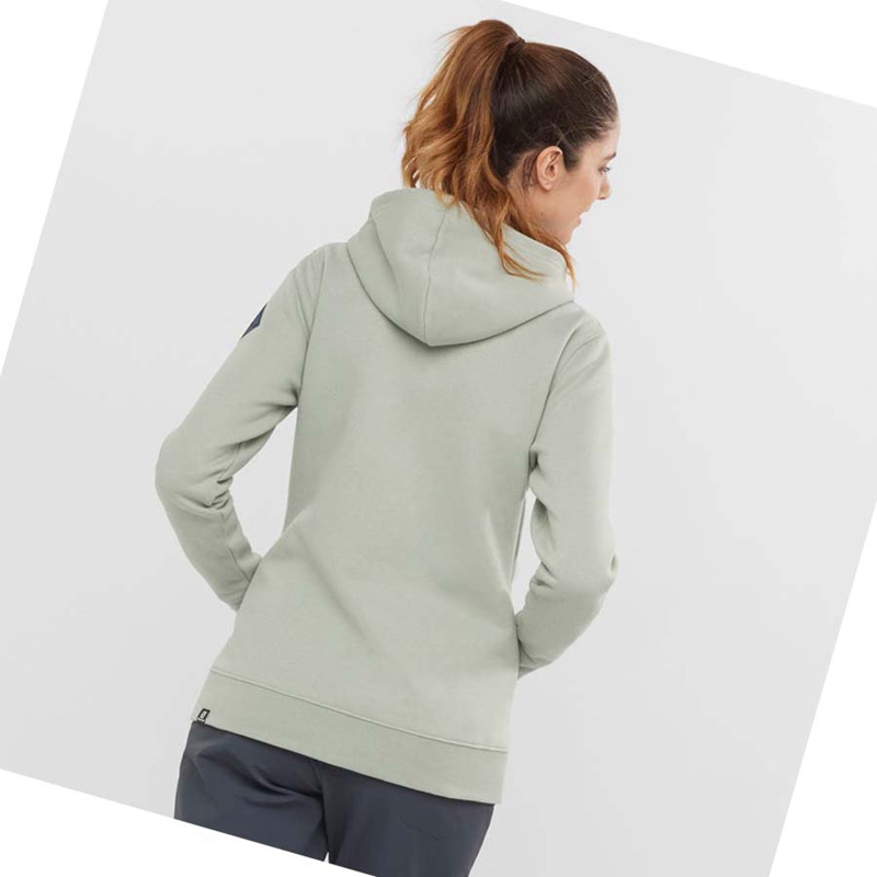 Salomon ESSENTIAL WARM SALOMON Hoodie Damen Beige | GLBSPIV-05