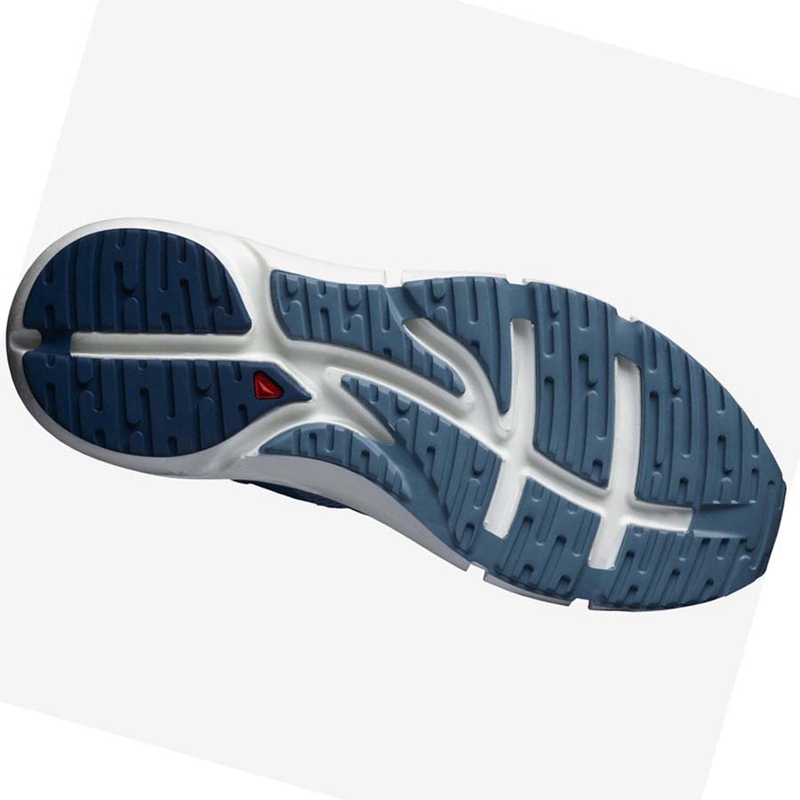 Salomon PREDICT 2 Laufschuhe Herren Blau | PIOQRGZ-05