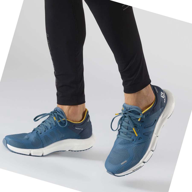 Salomon PREDICT 2 Laufschuhe Herren Blau | PIOQRGZ-05