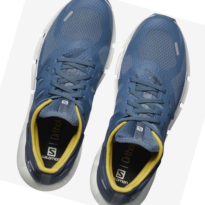 Salomon PREDICT 2 Laufschuhe Herren Blau | PIOQRGZ-05