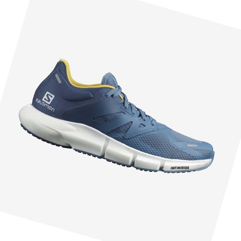 Salomon PREDICT 2 Laufschuhe Herren Blau | PIOQRGZ-05