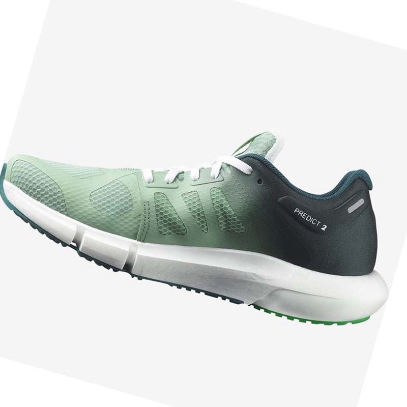Salomon PREDICT 2 Laufschuhe Herren Olivgrün | VEZWNFA-20