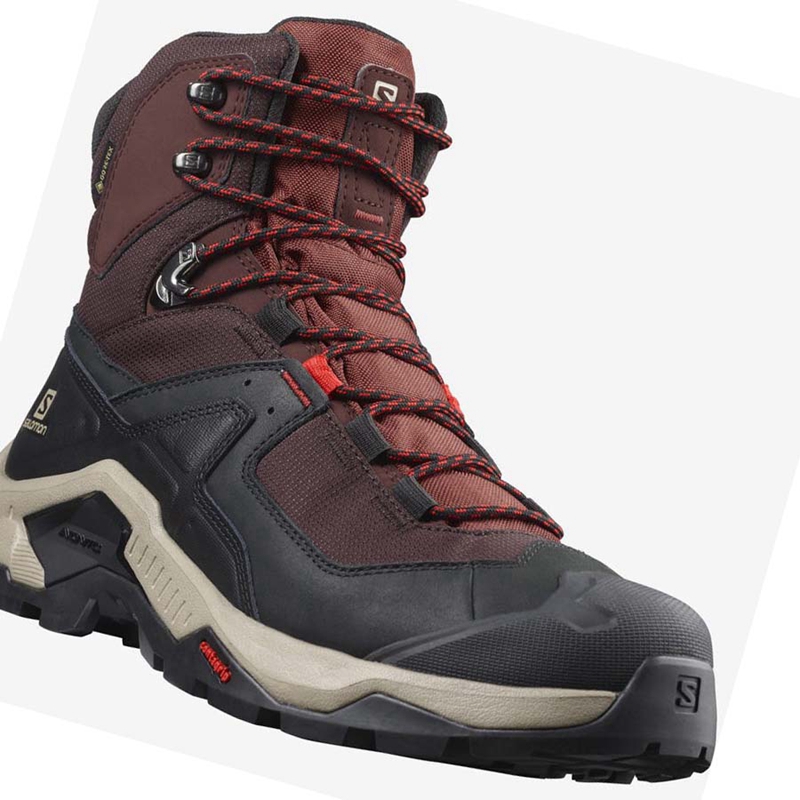 Salomon QUEST ELEMENT GORE-TEX Wanderschuhe Herren Grau Rot | EULINQP-01