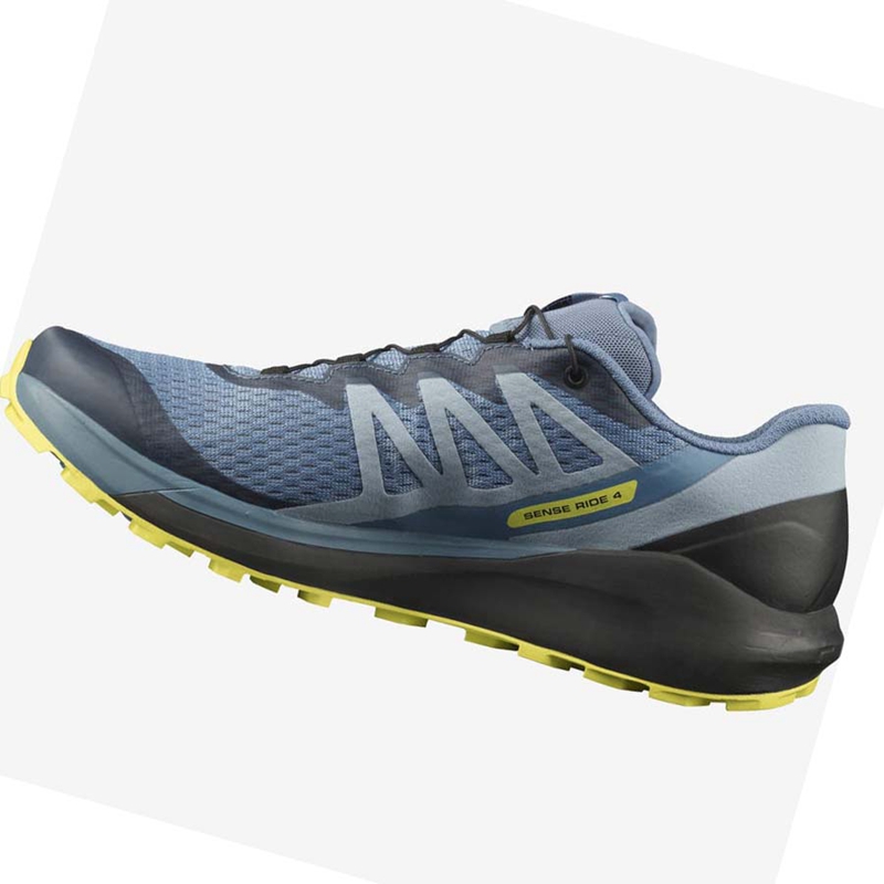 Salomon SENSE RIDE 4 Trailrunning Schuhe Herren Grau | ELMCIBH-90