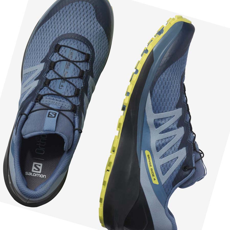 Salomon SENSE RIDE 4 Trailrunning Schuhe Herren Grau | ELMCIBH-90