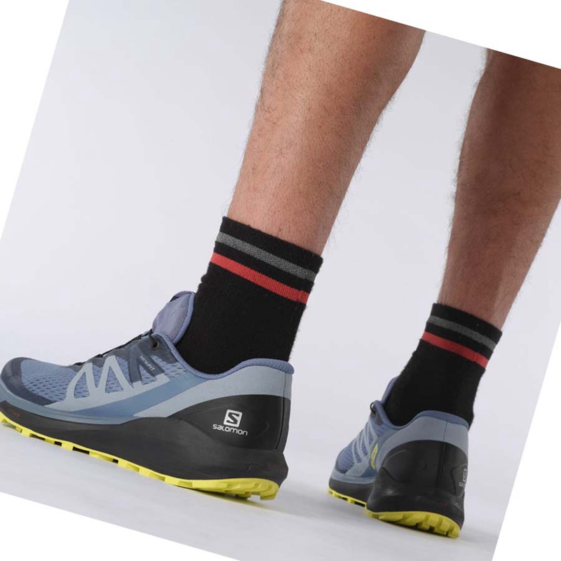 Salomon SENSE RIDE 4 Trailrunning Schuhe Herren Grau | ELMCIBH-90