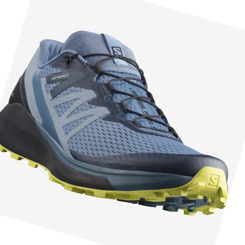 Salomon SENSE RIDE 4 Trailrunning Schuhe Herren Grau | ELMCIBH-90