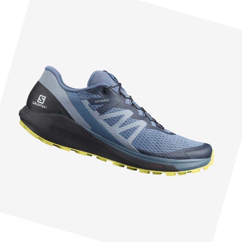 Salomon SENSE RIDE 4 Trailrunning Schuhe Herren Grau | ELMCIBH-90