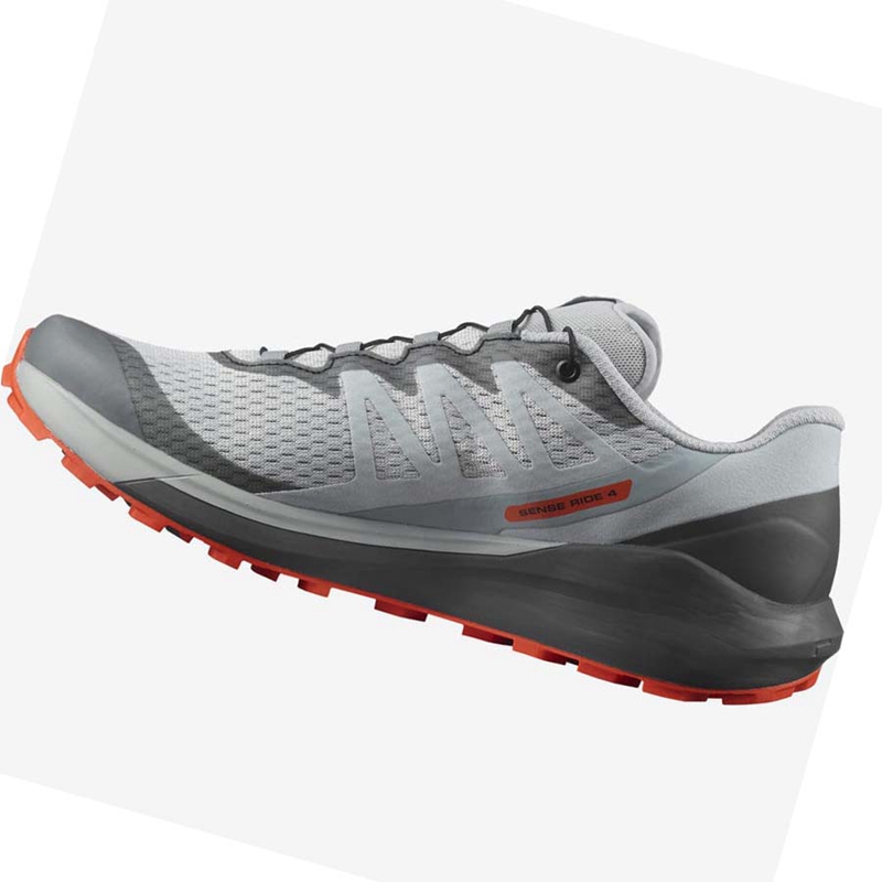 Salomon SENSE RIDE 4 Trailrunning Schuhe Herren Beige Grau | HZGAWBD-67