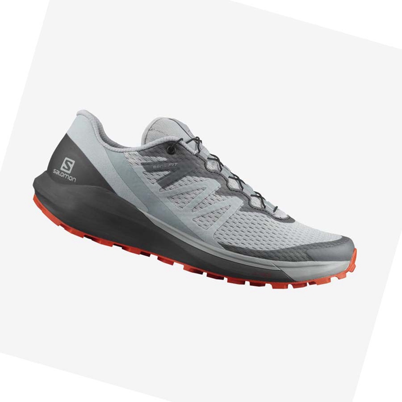 Salomon SENSE RIDE 4 Trailrunning Schuhe Herren Beige Grau | HZGAWBD-67