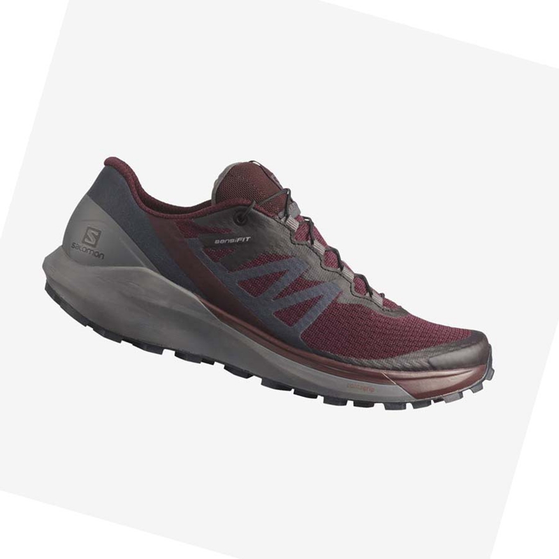 Salomon SENSE RIDE 4 Trailrunning Schuhe Damen Lila | NEJZUGA-46