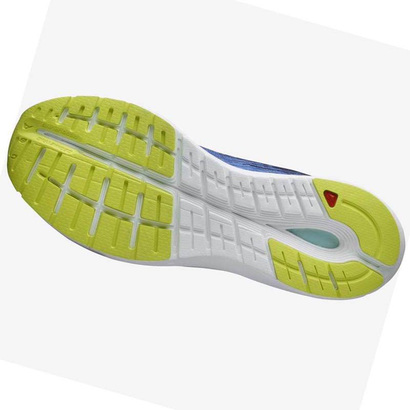 Salomon SONIC 4 Accelerate Laufschuhe Herren Blau Weiß | BHDCKWS-67