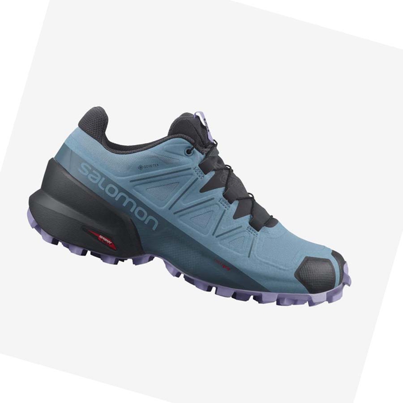 Salomon SPEEDCROSS 5 GORE-TEX Trailrunning Schuhe Damen Braun | FIDSNUO-32
