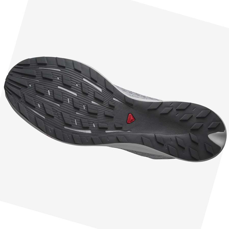 Salomon S/LAB PULSAR Trailrunning Schuhe Herren Silber | AWREJSB-32