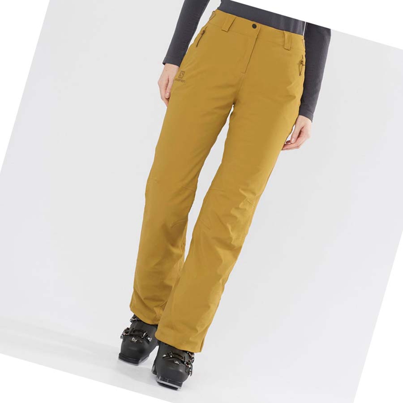 Salomon THE BRILLIANT Ski Hosen Damen Braun | ITKPYVE-41