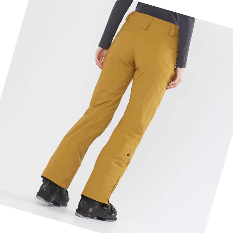 Salomon THE BRILLIANT Ski Hosen Damen Braun | ITKPYVE-41