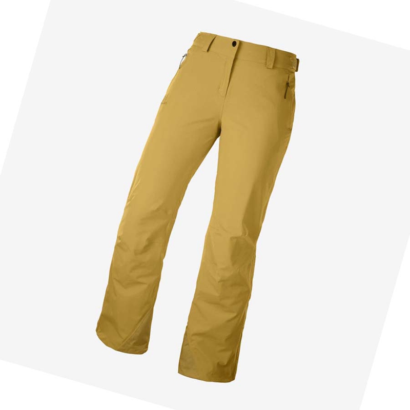 Salomon THE BRILLIANT Ski Hosen Damen Braun | ITKPYVE-41
