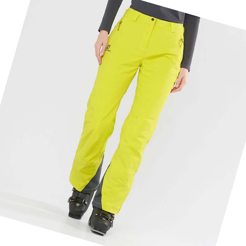 Salomon THE BRILLIANT Ski Hosen Damen Grün | DWFVTMQ-19