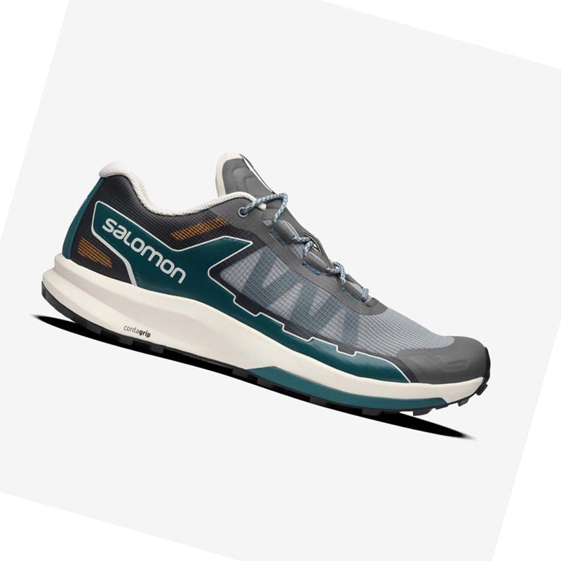 Salomon ULTRA RAID Sneakers Damen Grau | BPKUZGC-69
