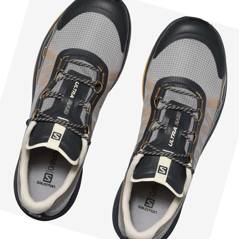 Salomon ULTRA RAID Sneakers Damen Silber | VGTSRLB-04