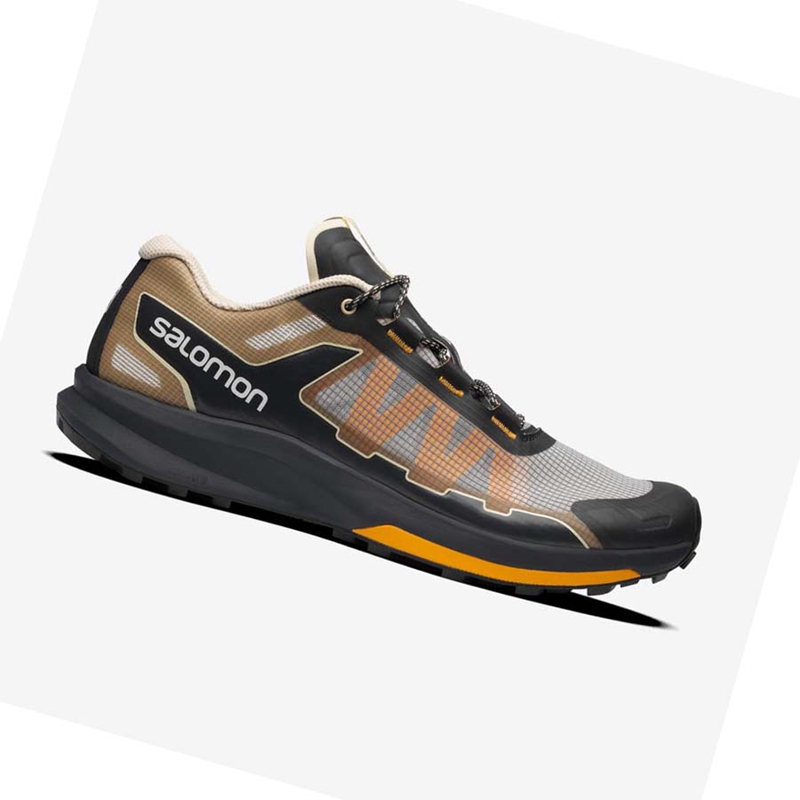 Salomon ULTRA RAID Sneakers Damen Silber | VGTSRLB-04