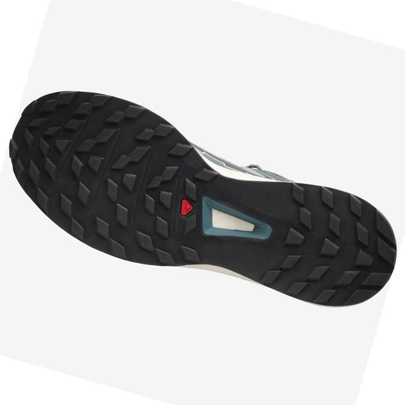 Salomon ULTRA RAID Sneakers Herren Grau | NHELBIY-41