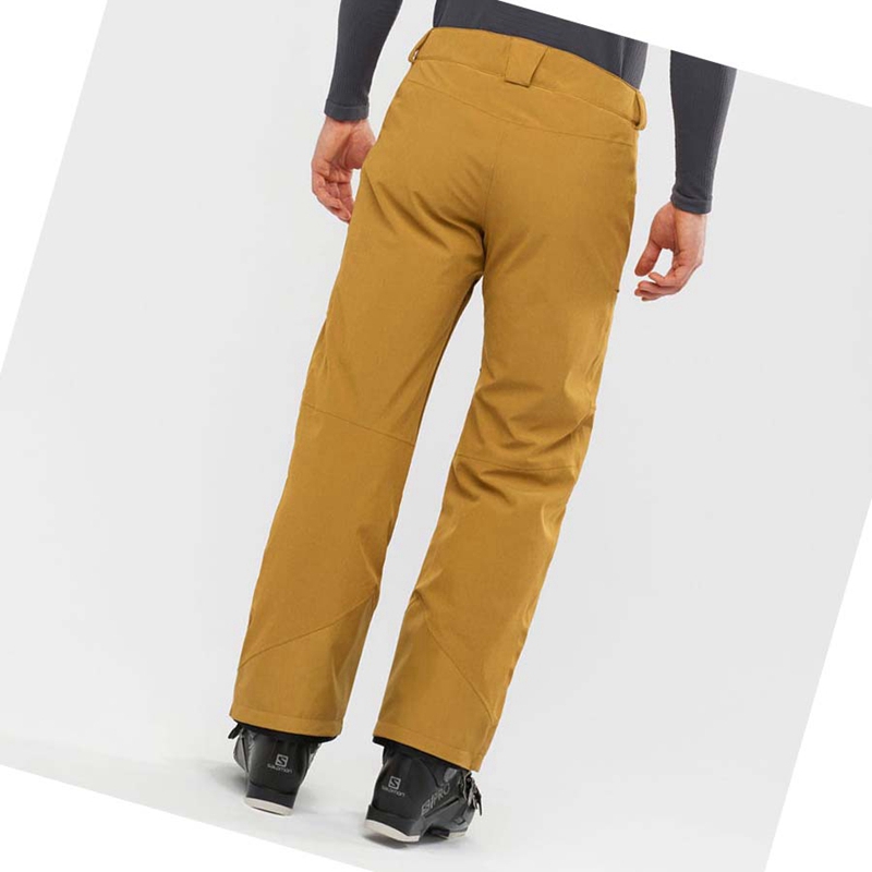 Salomon UNTRACKED Ski Hosen Herren Braun | CNTHADW-23
