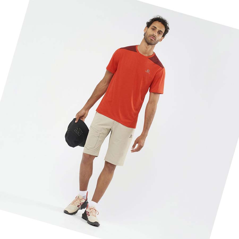 Salomon WAYFARER Kurze Hose Herren Beige | UYGSXNO-87