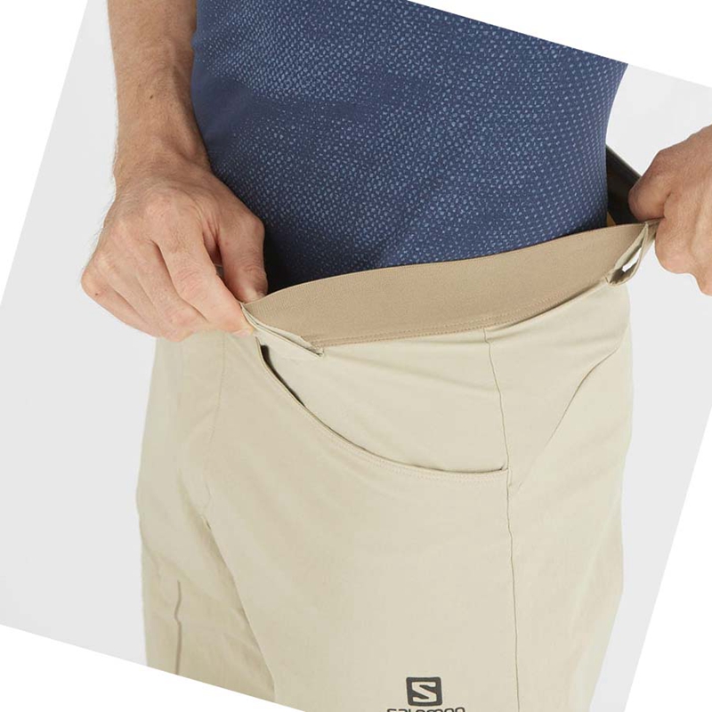 Salomon WAYFARER Kurze Hose Herren Beige | UYGSXNO-87