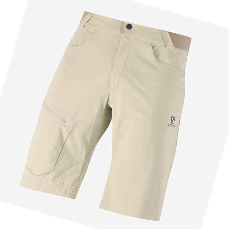 Salomon WAYFARER Kurze Hose Herren Beige | UYGSXNO-87