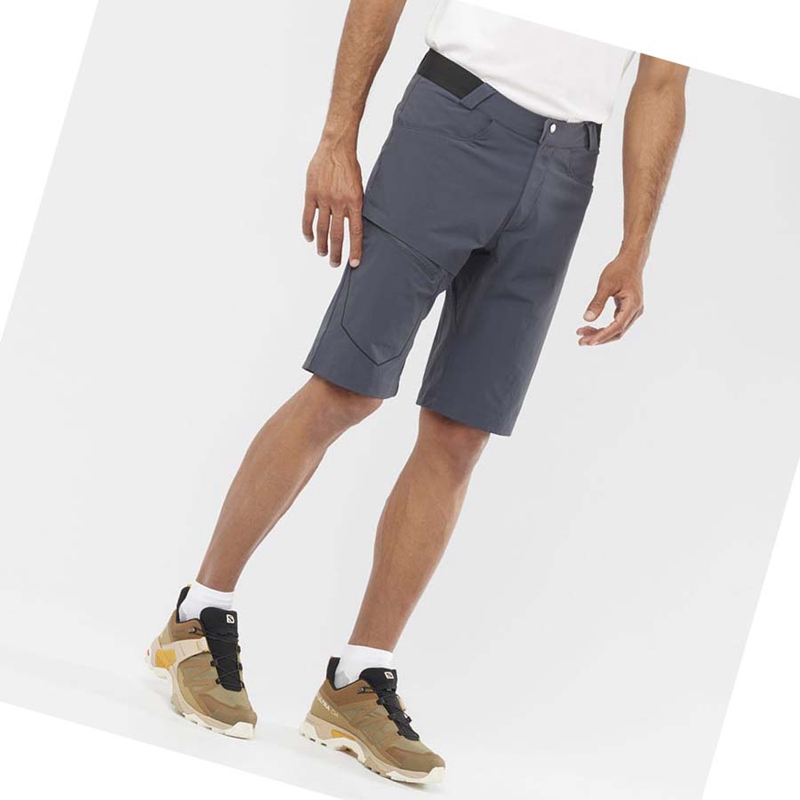Salomon WAYFARER Kurze Hose Herren Grau | ZUFHOTG-12