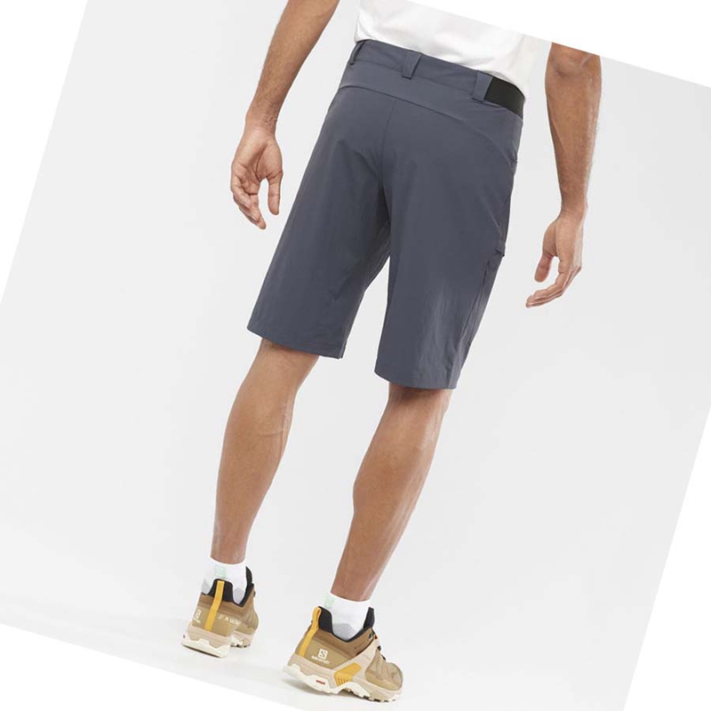 Salomon WAYFARER Kurze Hose Herren Grau | ZUFHOTG-12