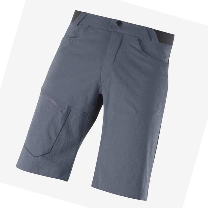 Salomon WAYFARER Kurze Hose Herren Grau | ZUFHOTG-12