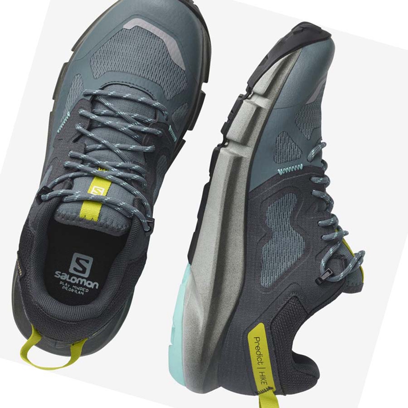 Salomon WoPREDICT HIKE GORE-TEX Wanderschuhe Damen Silber | JOGYQCP-97