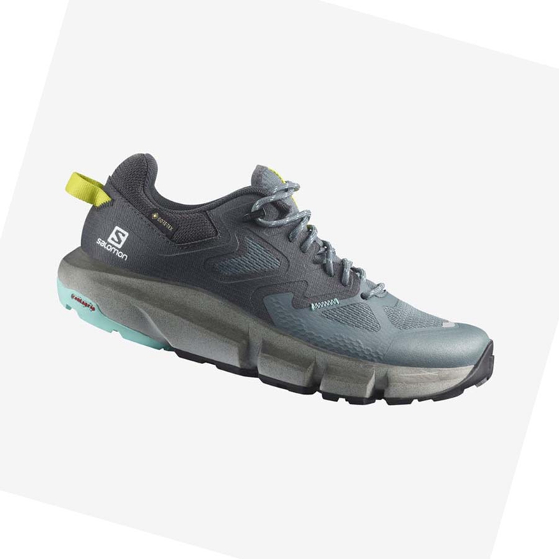 Salomon WoPREDICT HIKE GORE-TEX Wanderschuhe Damen Silber | JOGYQCP-97