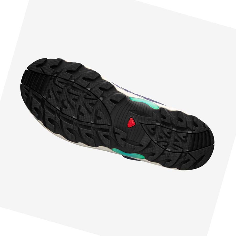 Salomon XA PRO 1 Sneakers Damen Lila Grau | HPQJFWG-02