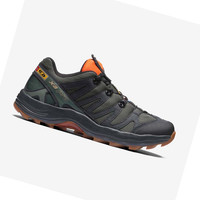 Salomon XA PRO 1 Sneakers Herren Grau | NFGSIVX-76