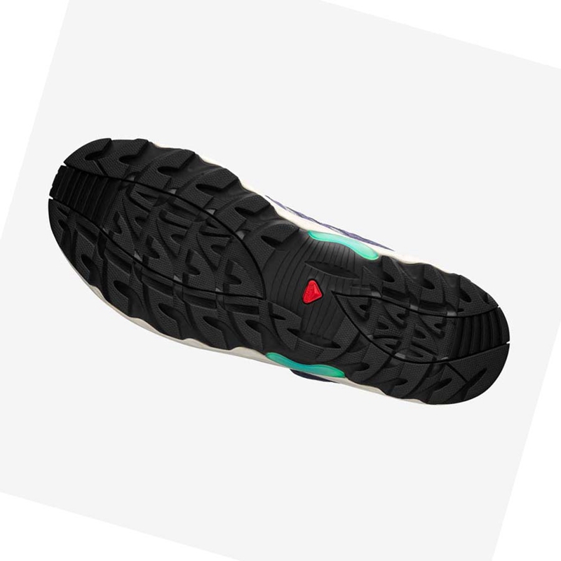 Salomon XA PRO 1 Sneakers Herren Lila Grau | IONGKVY-98