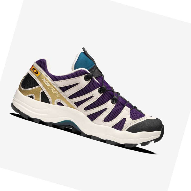 Salomon XA PRO 1 Sneakers Herren Lila Schokolade Blau | HVQCOXT-57