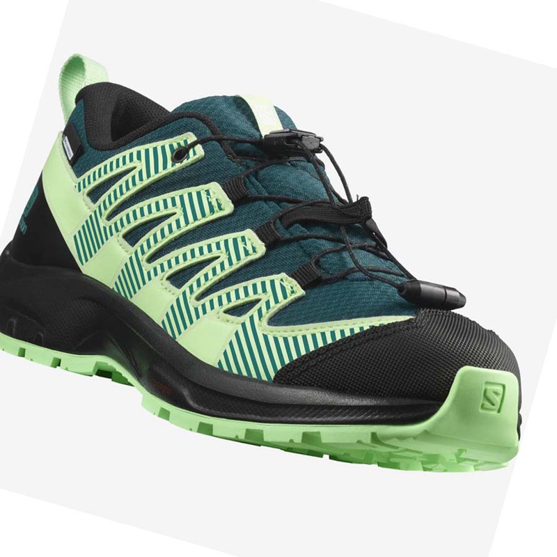 Salomon XA PRO V8 CLIMASALOMON™ WATERPROOF Wanderschuhe Kinder Grün | BCKWFZQ-91