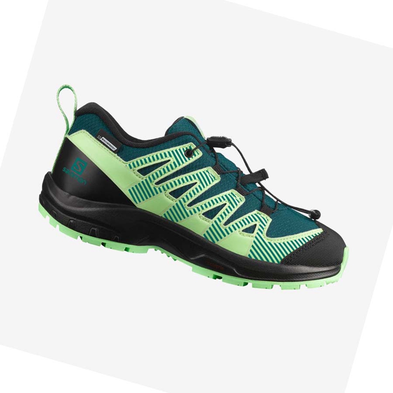 Salomon XA PRO V8 CLIMASALOMON™ WATERPROOF Wanderschuhe Kinder Grün | BCKWFZQ-91