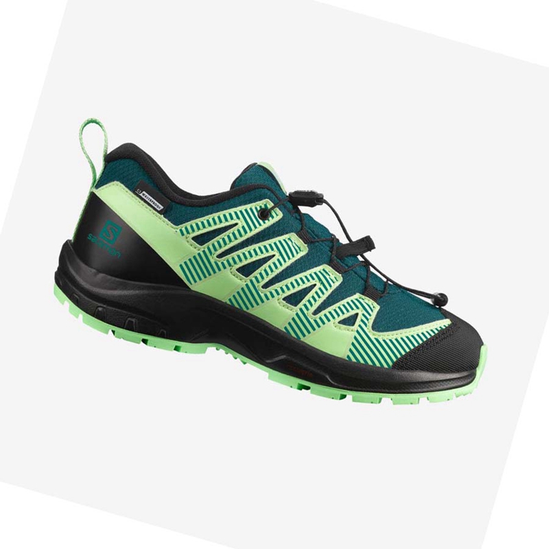Salomon XA PRO V8 CLIMASALOMON™ WATERPROOF Trailrunning Schuhe Kinder Grün | ILVZQUP-85