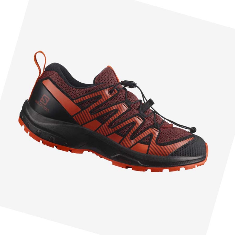 Salomon XA PRO V8 Wanderschuhe Kinder Schwarz Rot | EQYVSWD-04
